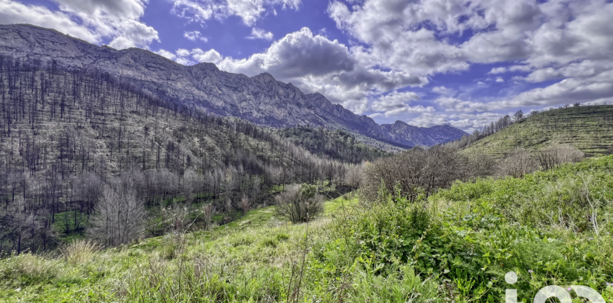 Land plot in Tarbena, Alicante, Spain 41000 sq.m. No. 185948