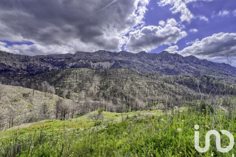 Land plot for sale in Tarbena, Alicante, Spain 41000 sq.m. No. 185948 - photo 10