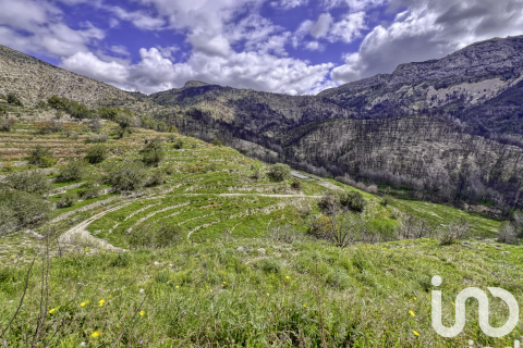 Land plot for sale in Tarbena, Alicante, Spain 41000 sq.m. No. 185948 - photo 5