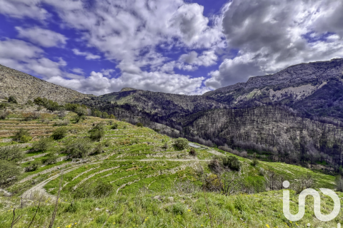 Land plot for sale in Tarbena, Alicante, Spain 41000 sq.m. No. 185948 - photo 24
