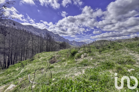 Land plot for sale in Tarbena, Alicante, Spain 41000 sq.m. No. 185948 - photo 25