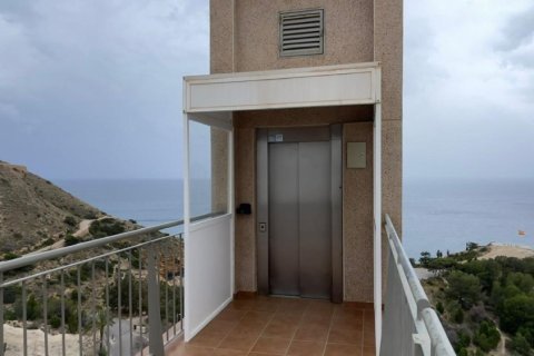 Appartamento in affitto a Benidorm, Alicante, Spagna 2 camere da letto, 50 mq. N° 167877 - foto 28