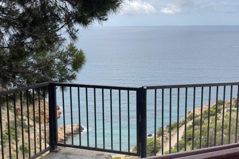 Appartamento in affitto a Benidorm, Alicante, Spagna 2 camere da letto, 50 mq. N° 167877 - foto 30