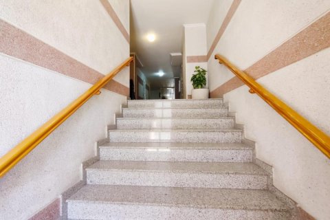 Apartment for sale in Catral, Alicante, Spain 4 bedrooms, 117 sq.m. No. 183753 - photo 29