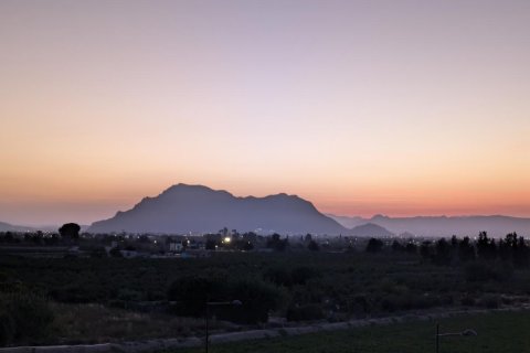 Wohnung zum Verkauf in Algorfa, Alicante, Spanien 2 Schlafzimmer, 65 m2 Nr. 183752 - Foto 25