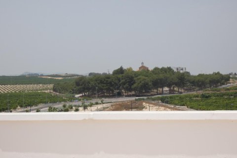 Wohnung zum Verkauf in Algorfa, Alicante, Spanien 2 Schlafzimmer, 65 m2 Nr. 183752 - Foto 22