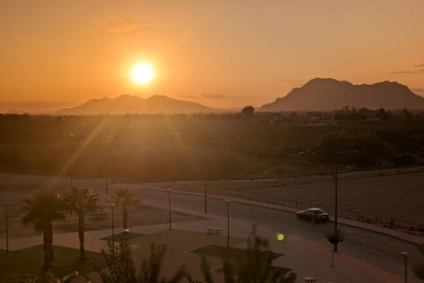 Wohnung zum Verkauf in Algorfa, Alicante, Spanien 2 Schlafzimmer, 65 m2 Nr. 183752 - Foto 26