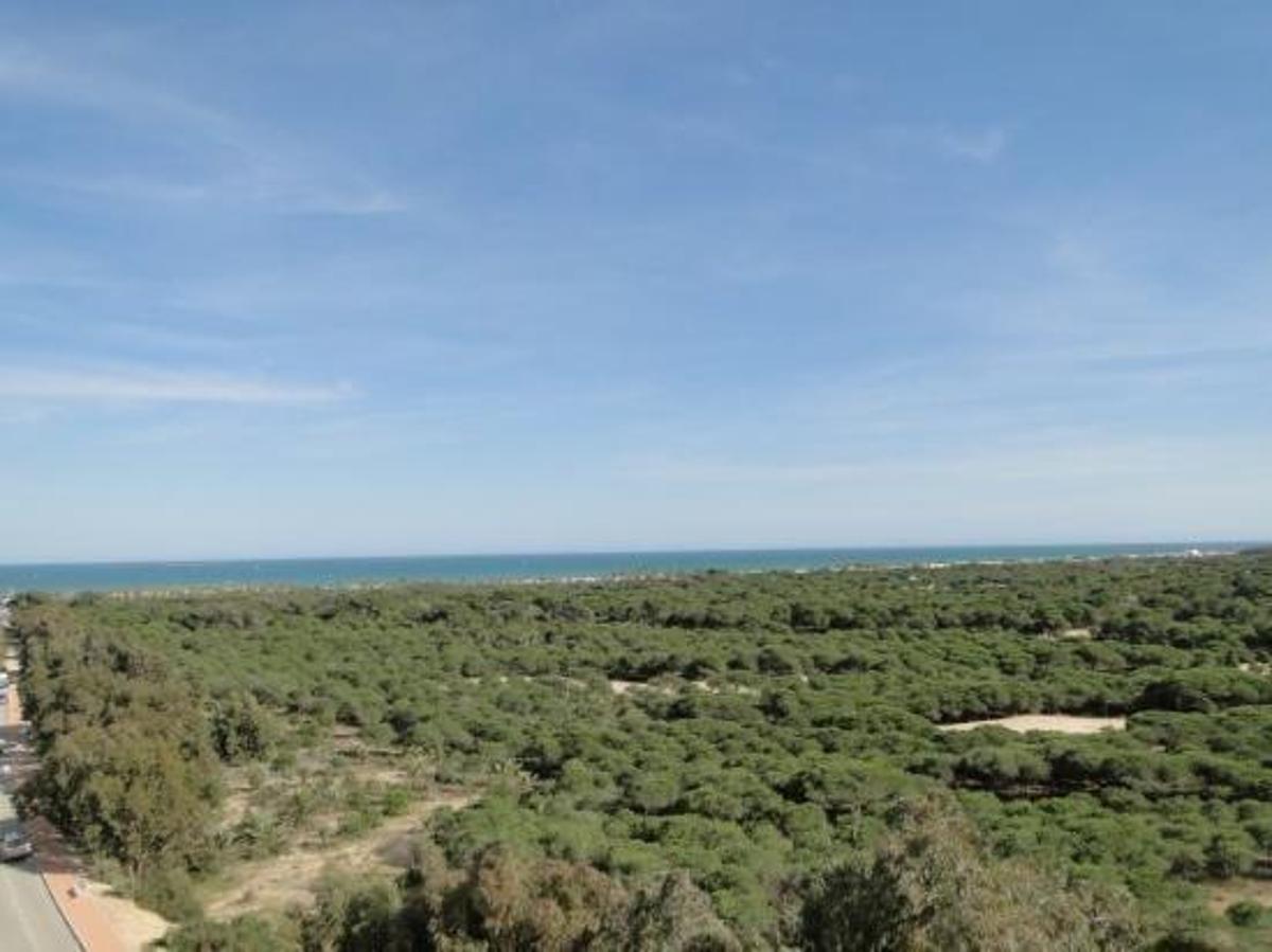 Apartment in Guardamar del Segura, Alicante, Spain 1 bedroom, 41 sq.m. No. 183750