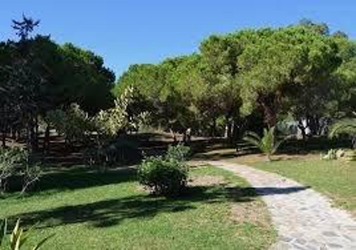 Apartment in Guardamar del Segura, Alicante, Spain 1 bedroom, 41 sq.m. No. 183750