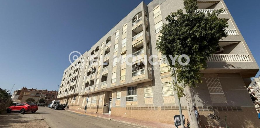 Apartment à Guardamar del Segura, Alicante, Espagne 1 chambre, 48 m2 No. 183755