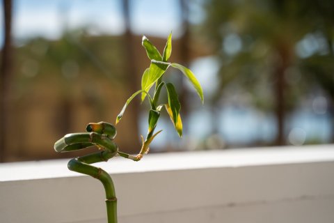 Продажа квартиры в Аликанте, Испания 2 спальни, 200м2 №155066 - фото 3