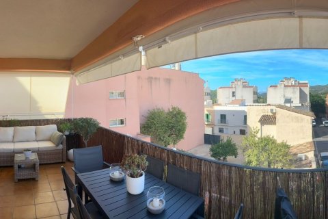 Apartament Andratx, Mallorca, Hiszpania 2 sypialnie, 82 mkw. nr 137557 – zdjęcie 7