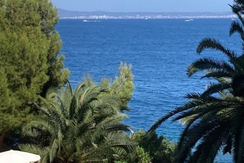 Apartment for rent in Cas Catala, Mallorca, Spain 1 bedroom, 46 sq.m. No. 137554 - photo 22