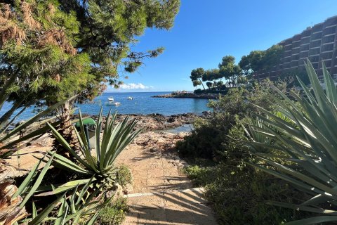 Apartment for rent in Cas Catala, Mallorca, Spain 1 bedroom, 46 sq.m. No. 137554 - photo 19