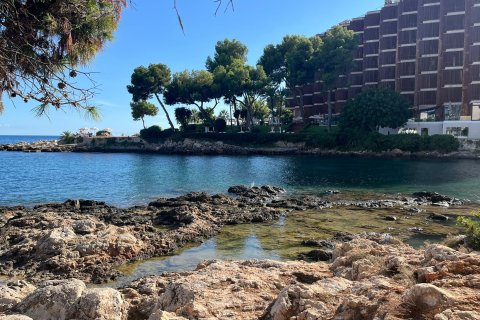 Apartment for rent in Cas Catala, Mallorca, Spain 1 bedroom, 46 sq.m. No. 137554 - photo 20