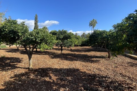 Finca myytävänä Palma de Majorca, Mallorca, Espanja, 2 makuuhuonetta, 115 m2 No. 137556 - kuva 12