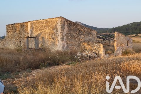 Land plot à vendre à Sineu, Mallorca, Espagne, 14060 m2 No. 152394 - photo 22