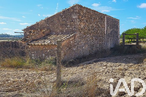 Land plot à vendre à Sineu, Mallorca, Espagne, 14060 m2 No. 152394 - photo 28