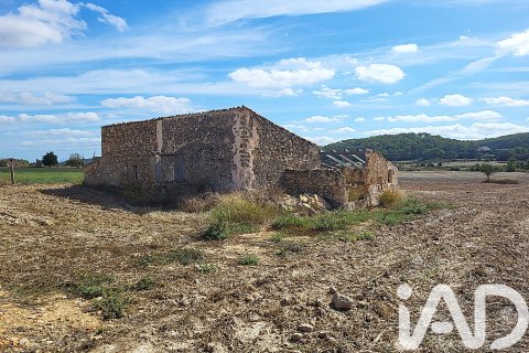 Land plot à vendre à Sineu, Mallorca, Espagne, 14060 m2 No. 152394 - photo 3
