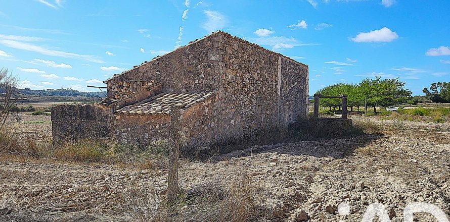 Land plot à Sineu, Mallorca, Espagne 14060 m2 No. 152394