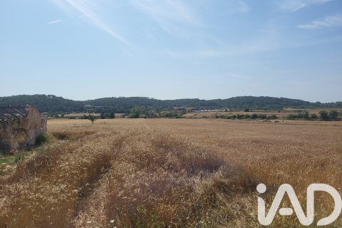 Land plot à vendre à Sineu, Mallorca, Espagne, 14060 m2 No. 152394 - photo 26