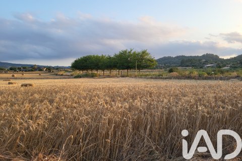 Land plot à vendre à Sineu, Mallorca, Espagne, 14060 m2 No. 152394 - photo 21