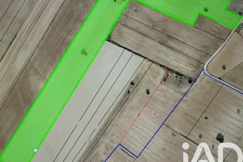 Land plot à vendre à Sineu, Mallorca, Espagne, 14060 m2 No. 152394 - photo 30