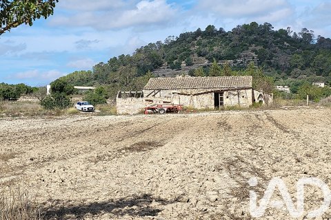 Land plot à vendre à Sineu, Mallorca, Espagne, 14060 m2 No. 152394 - photo 5