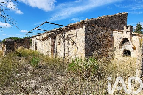 Land plot à vendre à Sineu, Mallorca, Espagne, 14060 m2 No. 152394 - photo 9