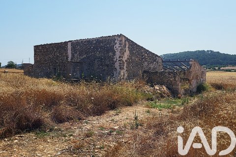 Land plot à vendre à Sineu, Mallorca, Espagne, 14060 m2 No. 152394 - photo 24