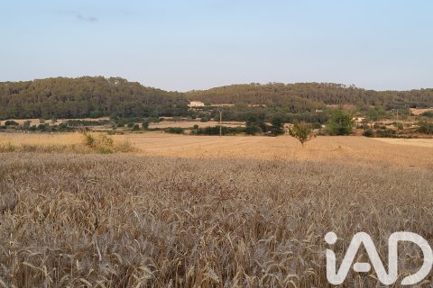 Land plot à vendre à Sineu, Mallorca, Espagne, 14060 m2 No. 152394 - photo 20