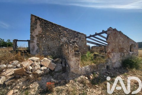 Land plot à vendre à Sineu, Mallorca, Espagne, 14060 m2 No. 152394 - photo 25