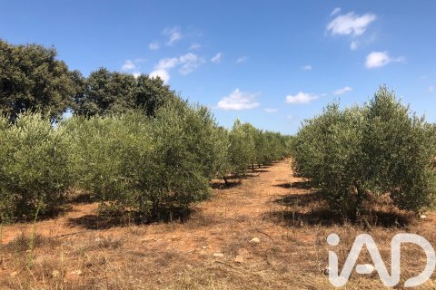 House à vendre à Cabanes, Castellon, Espagne, 8 chambres, 474 m2 No. 152395 - photo 19