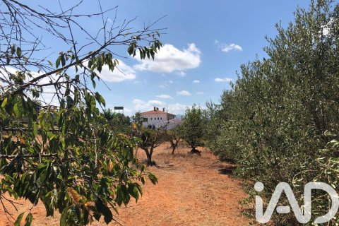 House à vendre à Cabanes, Castellon, Espagne, 8 chambres, 474 m2 No. 152395 - photo 20