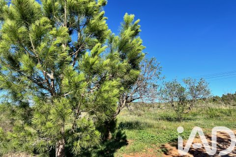 House à vendre à Cabanes, Castellon, Espagne, 8 chambres, 474 m2 No. 152395 - photo 23