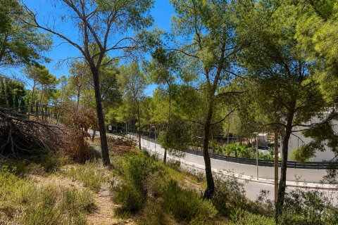 Land plot for sale in El Camp De Mar, Mallorca, Spain No. 195371 - photo 6