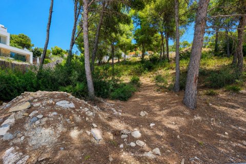 Land plot for sale in El Camp De Mar, Mallorca, Spain No. 195371 - photo 2