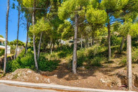 Land plot for sale in El Camp De Mar, Mallorca, Spain No. 195371 - photo 3