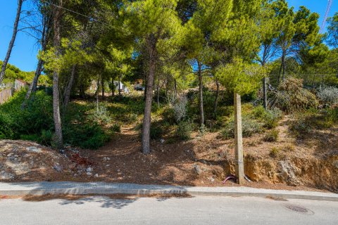 Land plot in El Camp De Mar, Mallorca, Spain No. 195371