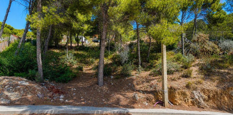 Land plot in El Camp De Mar, Mallorca, Spain No. 195371