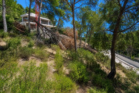 Land plot in El Camp De Mar, Mallorca, Spain No. 195370