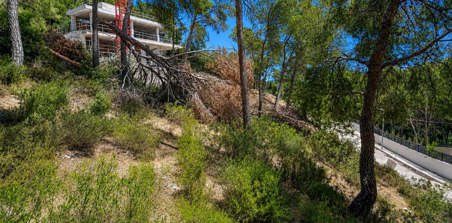 Land plot in El Camp De Mar, Mallorca, Spain No. 195370