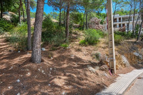 Land plot for sale in El Camp De Mar, Mallorca, Spain No. 195370 - photo 3