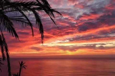 Bungalow zum Verkauf in Torrevieja, Alicante, Spanien 2 Schlafzimmer, 79 m2 Nr. 142040 - Foto 12