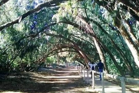 Bungalow zum Verkauf in Torrevieja, Alicante, Spanien 2 Schlafzimmer, 79 m2 Nr. 142040 - Foto 10