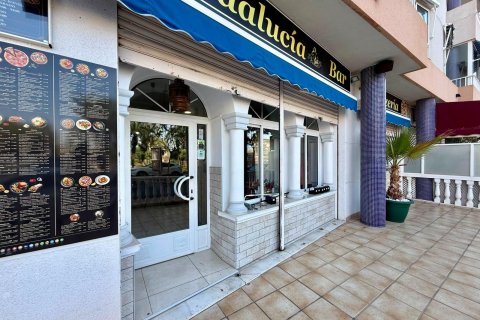 Liikekiinteistö myytävänä Guardamar del Segura, Alicante, Espanja , 101 m2 No. 193395 - kuva 18