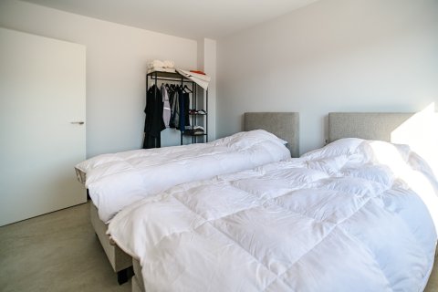 Villa à vendre à Aspe, Alicante, Espagne, 3 chambres, 181 m2 No. 193393 - photo 25