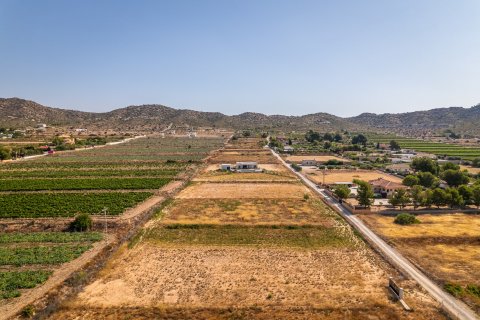 Villa à vendre à Aspe, Alicante, Espagne, 3 chambres, 181 m2 No. 193393 - photo 3