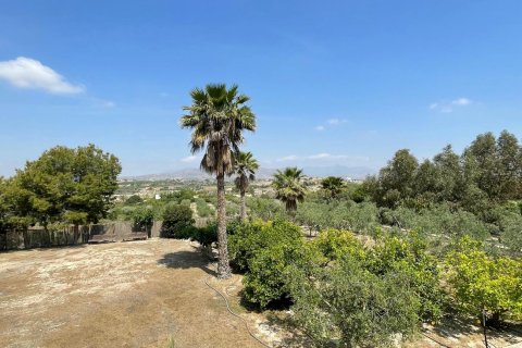 Villa à vendre à Alicante, Espagne, 5 chambres, 130 m2 No. 189285 - photo 16