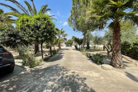 Villa à vendre à Alicante, Espagne, 5 chambres, 130 m2 No. 189285 - photo 3